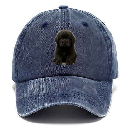 Baby Newfoundland Puppy - giant fluffy black, gentle eyes, webbed paws, front-facing, - Classic Cap - Twilight Navy(Blue)
