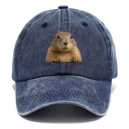 Prairie Dog  - Classic Cap - Twilight Navy(Blue)