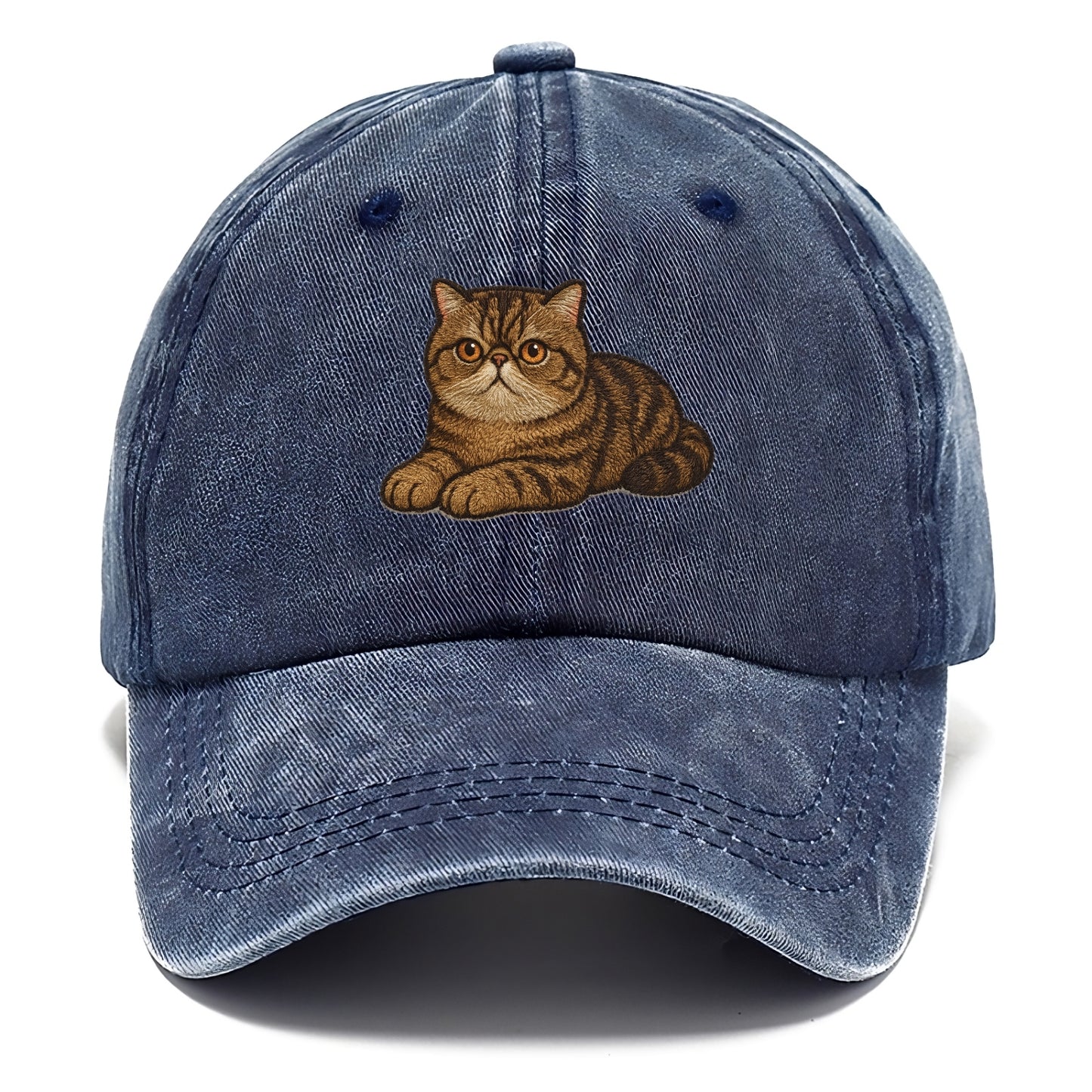 Exotic Shorthair  relaxed lying down wit Classic Cap - Twilight Navy(Blue)