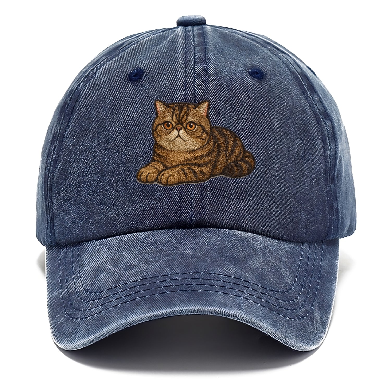 Exotic Shorthair  relaxed lying down wit Classic Cap - Twilight Navy(Blue)