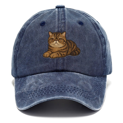 Exotic Shorthair  relaxed lying down wit Classic Cap - Twilight Navy(Blue)