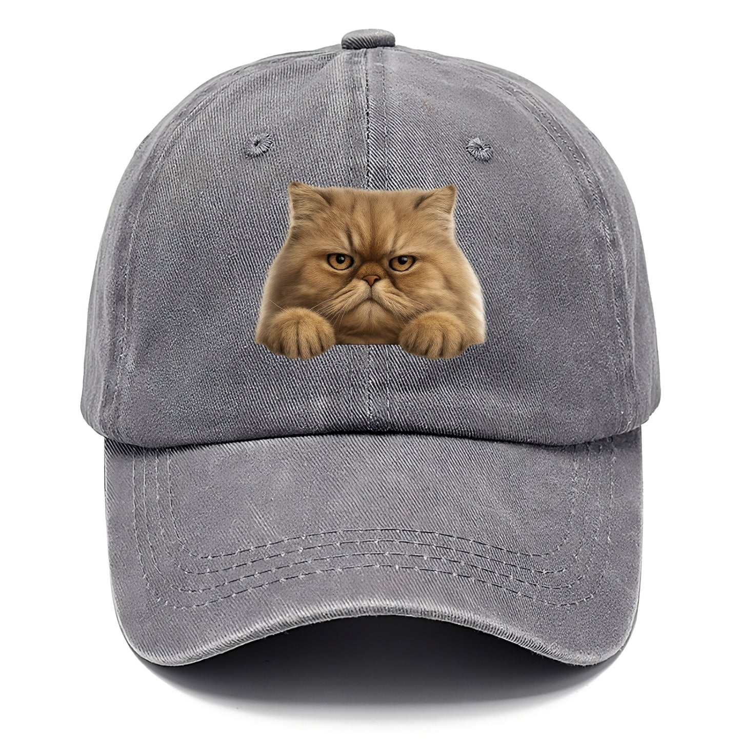 Persian Cat  - Classic Cap - Urban Haze(Grey)