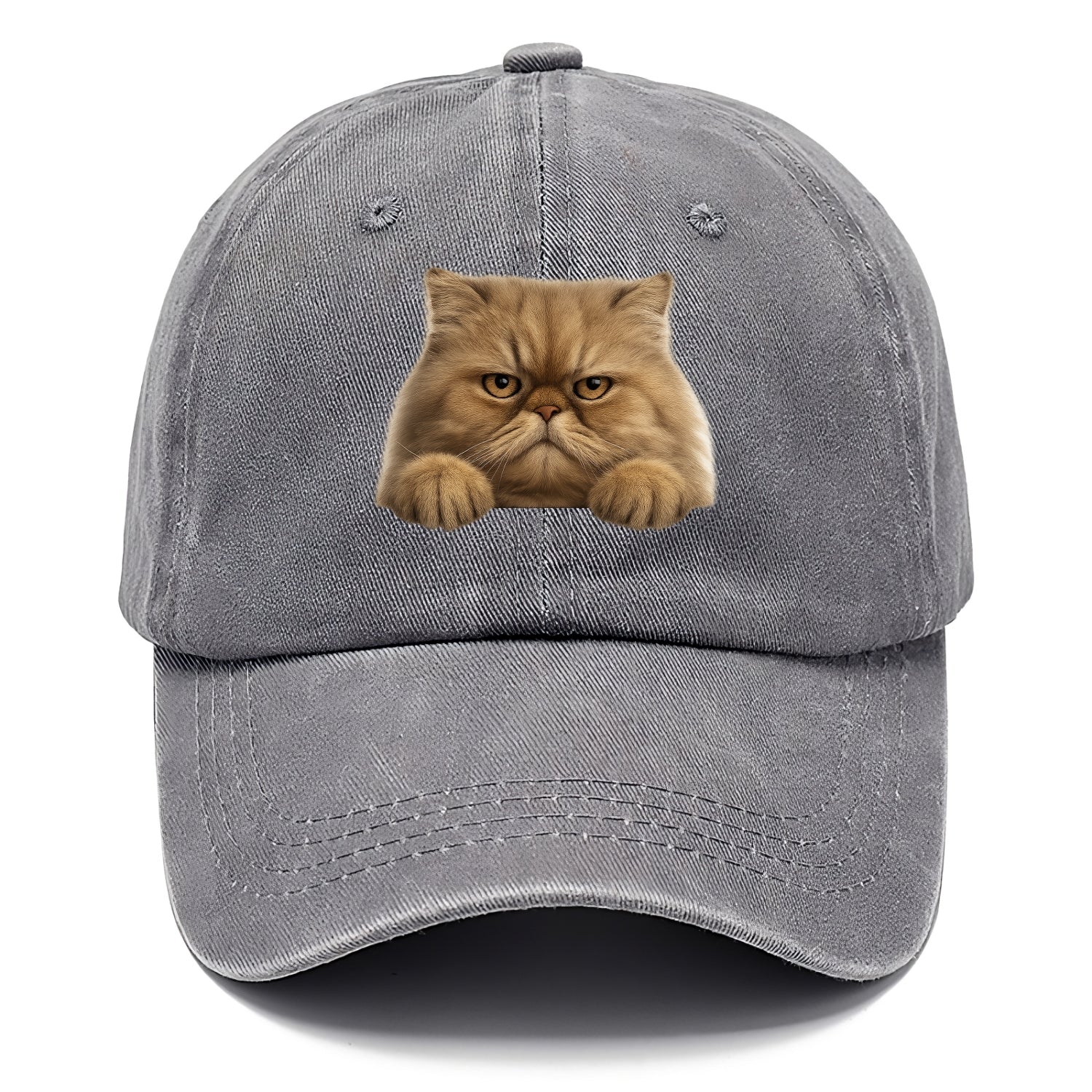 Persian Cat  - Classic Cap - Urban Haze(Grey)