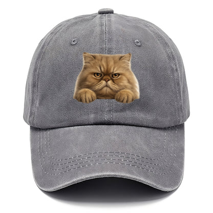 Persian Cat  - Classic Cap - Urban Haze(Grey)