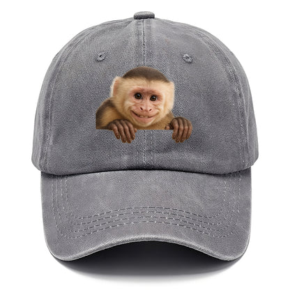 Capuchin Monkey  - Classic Cap - Urban Haze(Grey)