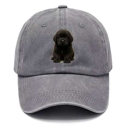 Baby Newfoundland Puppy - giant fluffy black, gentle eyes, webbed paws, front-facing, - Classic Cap - Urban Haze(Grey)