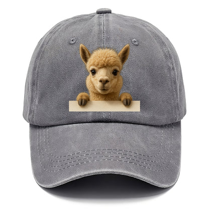 Alpaca  - Classic Cap - Urban Haze(Grey)