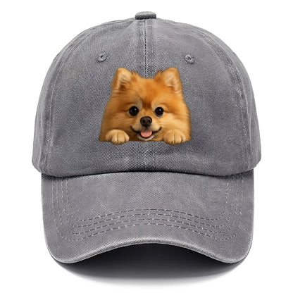Pomeranian  - Classic Cap - Urban Haze(Grey)