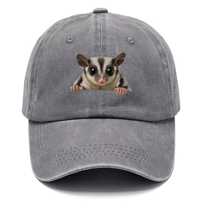 Sugar Glider  - Classic Cap - Urban Haze(Grey)