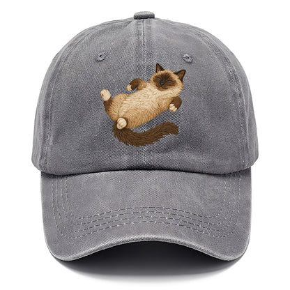 Birman  fully relaxed sprawled out embro Classic Cap - Urban Haze(Grey)