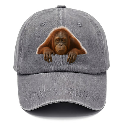 Orangutan  - Classic Cap - Urban Haze(Grey)