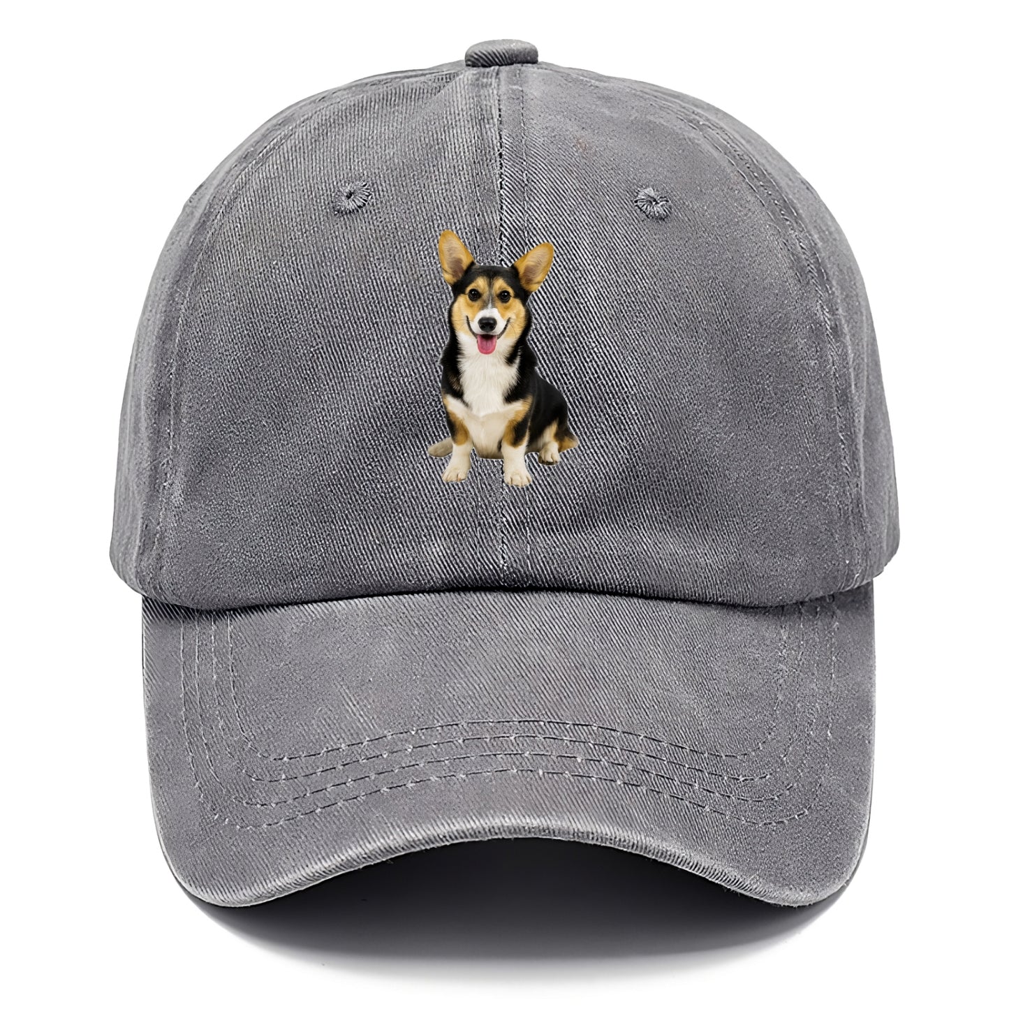 Tricolor Corgi - Classic Cap - Urban Haze(Grey)