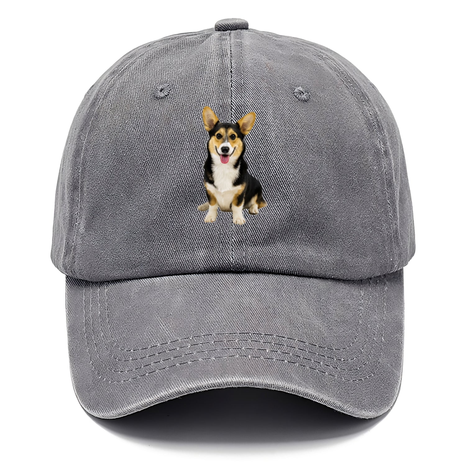 Tricolor Corgi - Classic Cap - Urban Haze(Grey)