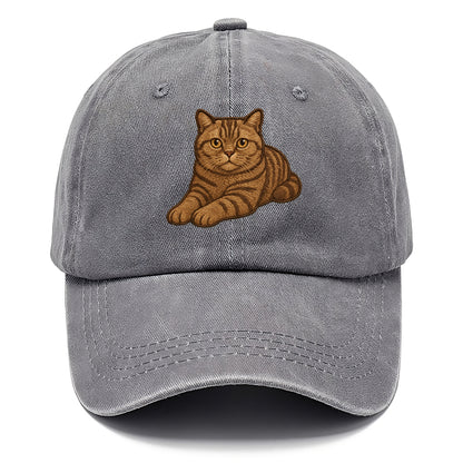 British Shorthair  relaxed lying down wi Classic Cap - Urban Haze(Grey)