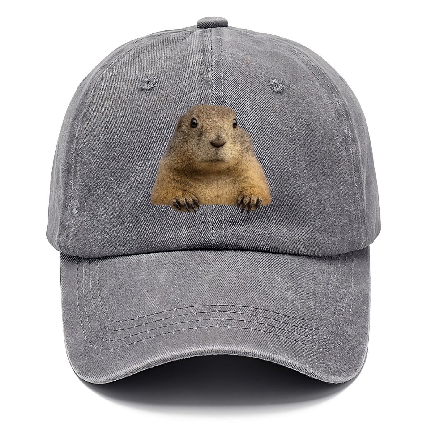 Prairie Dog  - Classic Cap - Urban Haze(Grey)