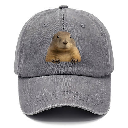 Prairie Dog  - Classic Cap - Urban Haze(Grey)