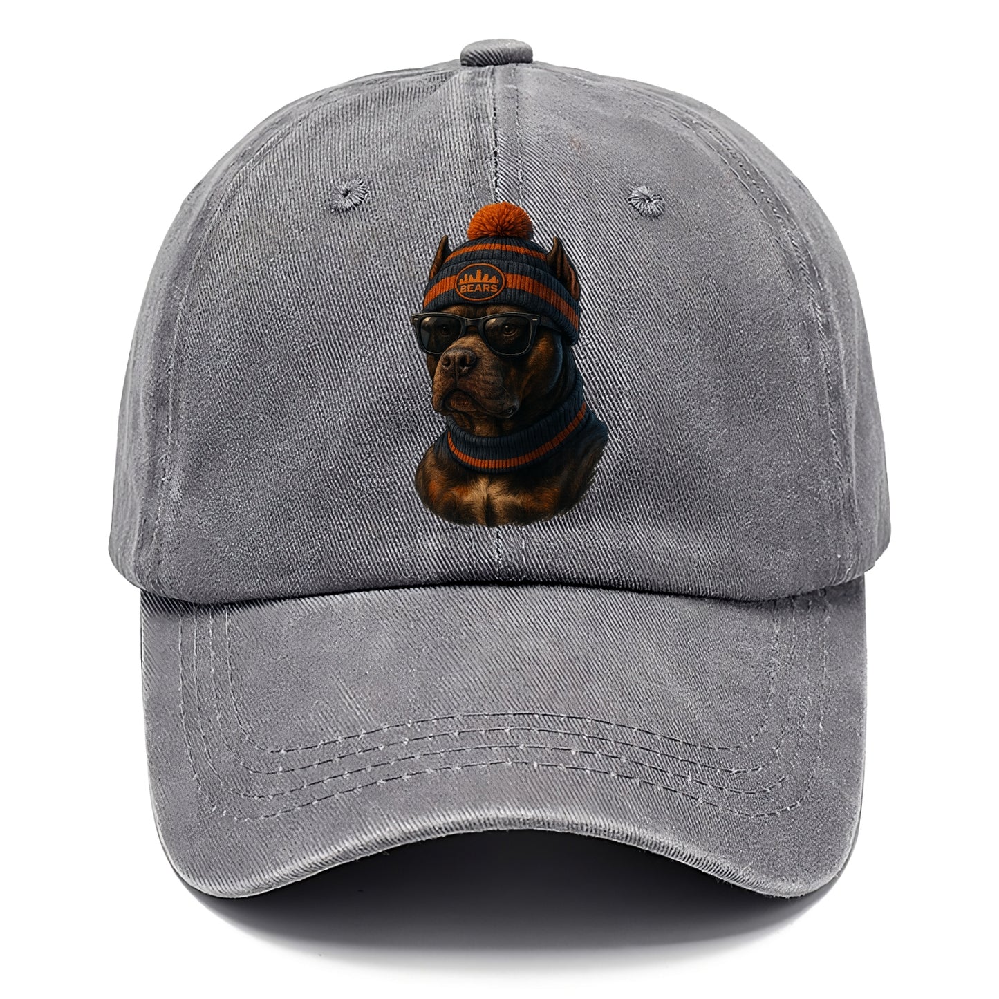 Chicago Pitbull wearing Bears beanie with skyline patch and wayfarer sunglasses - Classic Cap - Urban Haze(Grey)