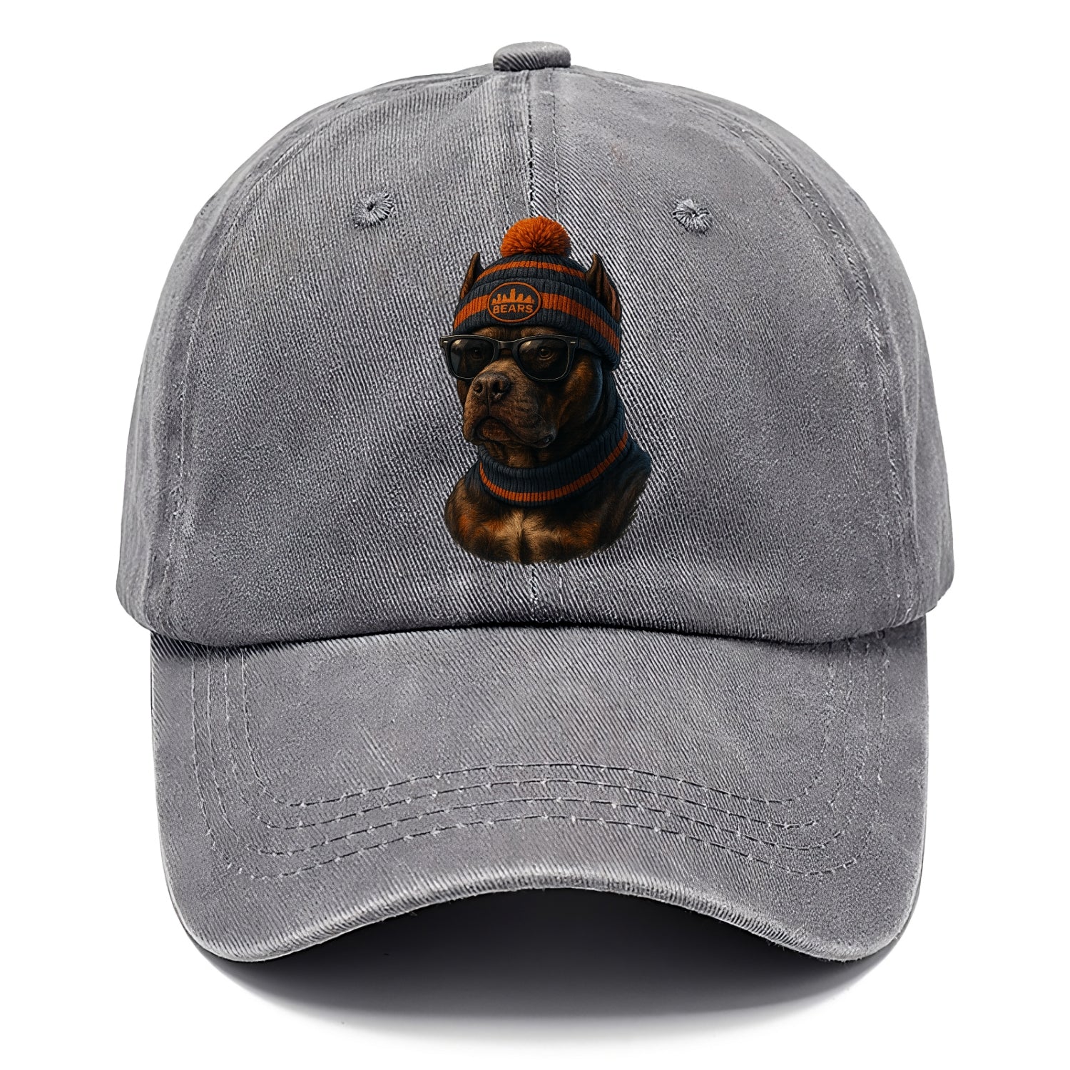 Chicago Pitbull wearing Bears beanie with skyline patch and wayfarer sunglasses - Classic Cap - Urban Haze(Grey)
