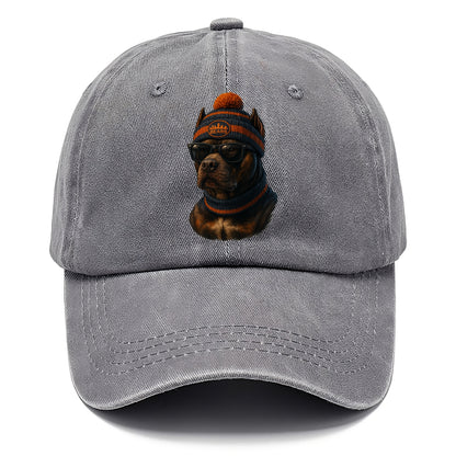 Chicago Pitbull wearing Bears beanie with skyline patch and wayfarer sunglasses - Classic Cap - Urban Haze(Grey)