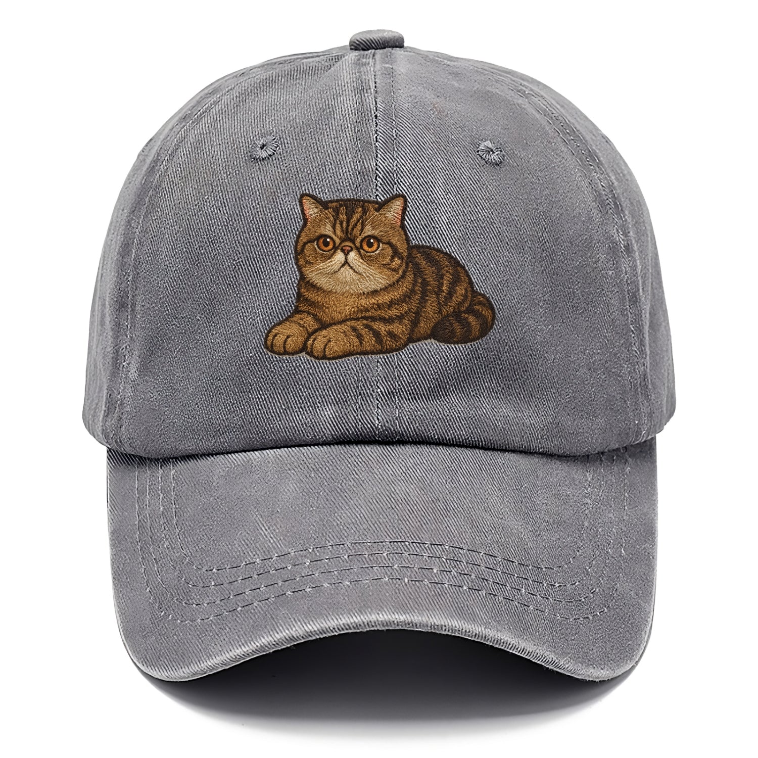 Exotic Shorthair  relaxed lying down wit Classic Cap - Urban Haze(Grey)