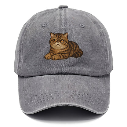 Exotic Shorthair  relaxed lying down wit Classic Cap - Urban Haze(Grey)