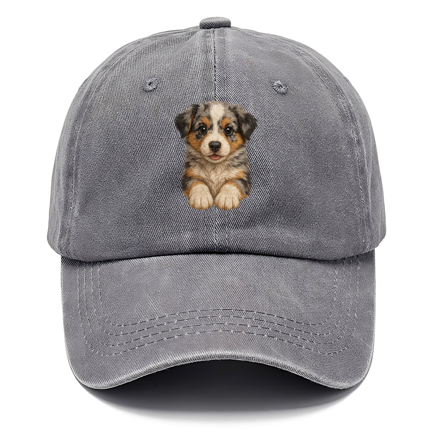 Baby Australian Shepherd Puppy - merle coat, bright eyes, fluffy, front-facing, smart - Classic Cap - Urban Haze(Grey)