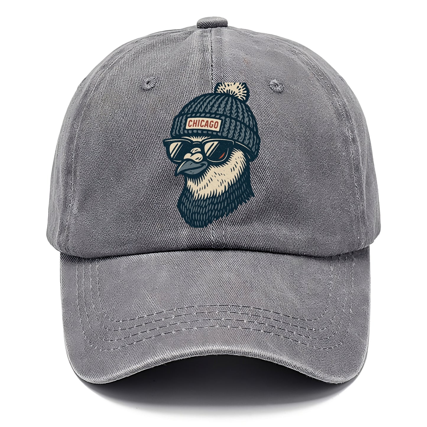 Chicago Pigeon wearing Chicago beanie with pom pom and wayfarer sunglasses - Classic Cap - Urban Haze(Grey)