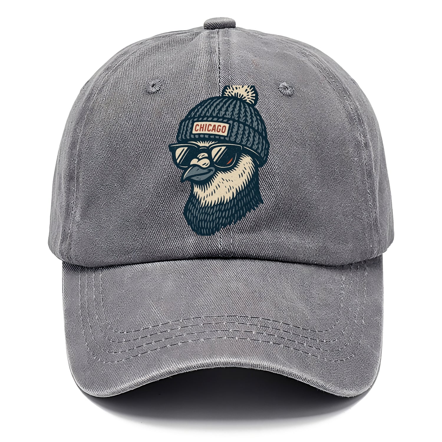 Chicago Pigeon wearing Chicago beanie with pom pom and wayfarer sunglasses - Classic Cap - Urban Haze(Grey)