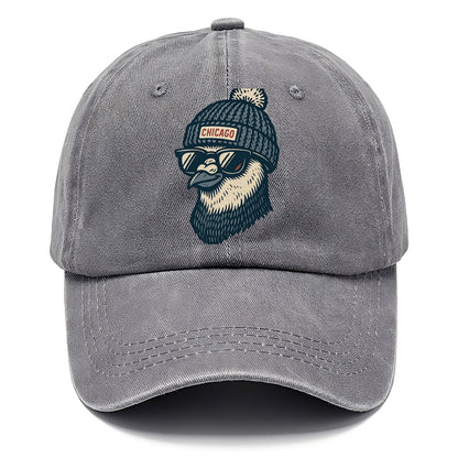 Chicago Pigeon wearing Chicago beanie with pom pom and wayfarer sunglasses - Classic Cap - Urban Haze(Grey)