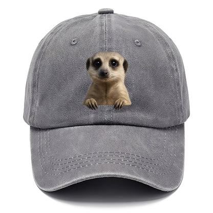 Meerkat  - Classic Cap - Urban Haze(Grey)
