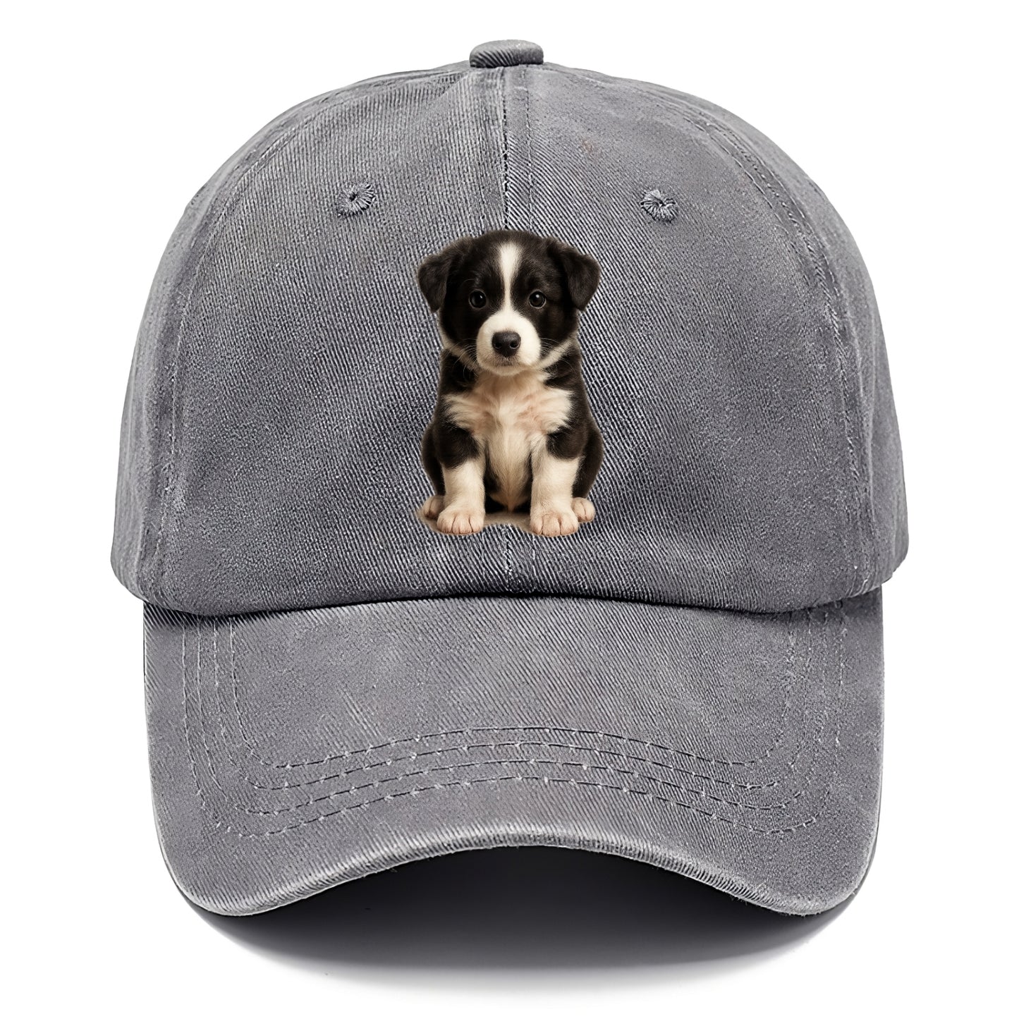 Baby Border Collie Puppy - black and white, intense smart eyes, athletic build, - Classic Cap - Urban Haze(Grey)