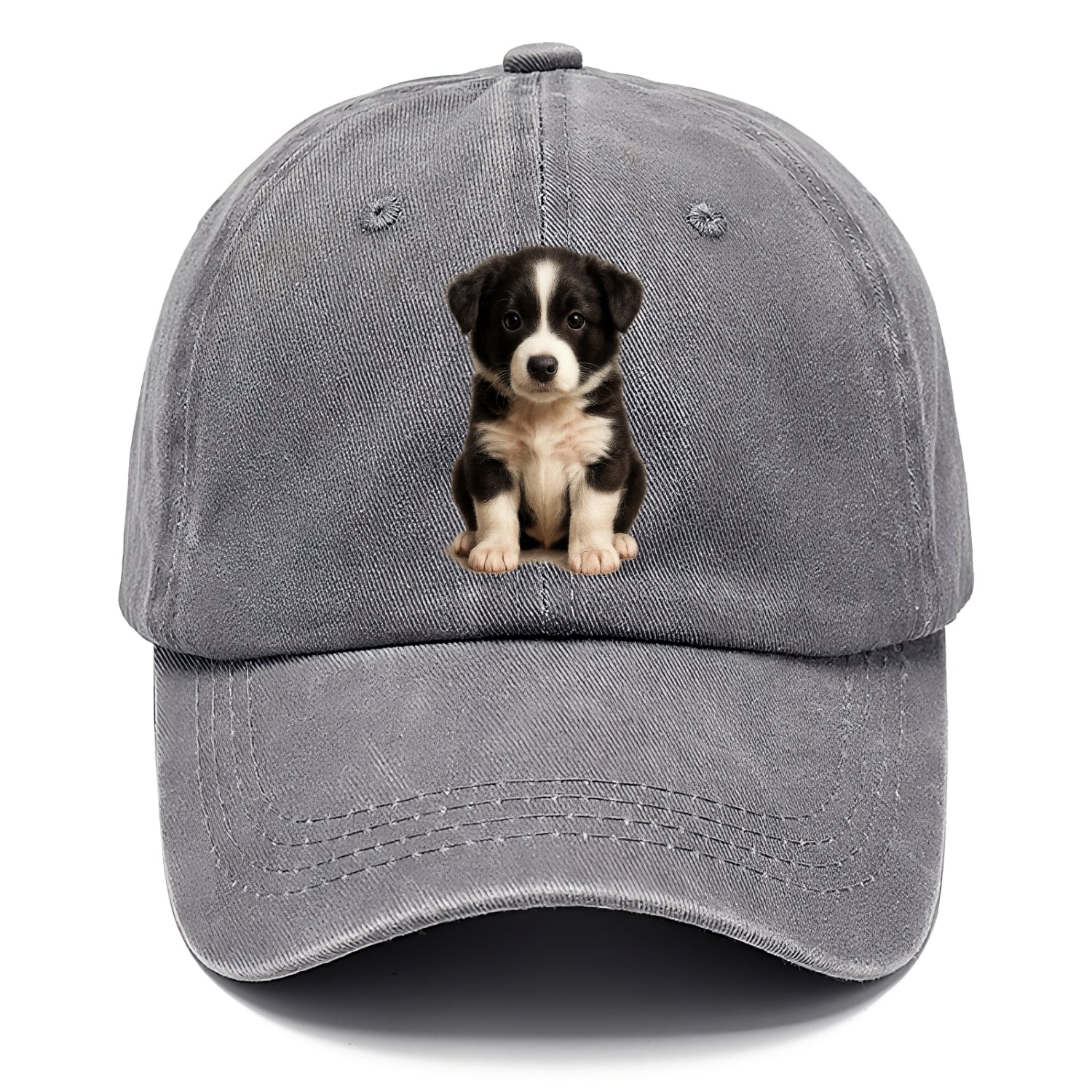 Baby Border Collie Puppy - black and white, intense smart eyes, athletic build, - Classic Cap - Urban Haze(Grey)