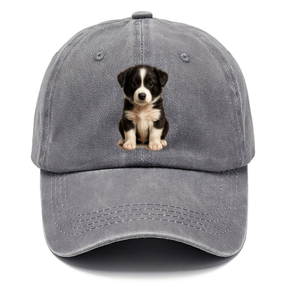 Baby Border Collie Puppy - black and white, intense smart eyes, athletic build, - Classic Cap - Urban Haze(Grey)