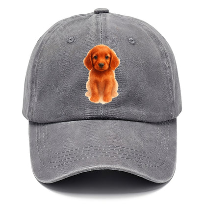 Baby Irish Setter Puppy - mahogany red coat, feathered ears, friendly eyes, - Classic Cap - Urban Haze(Grey)