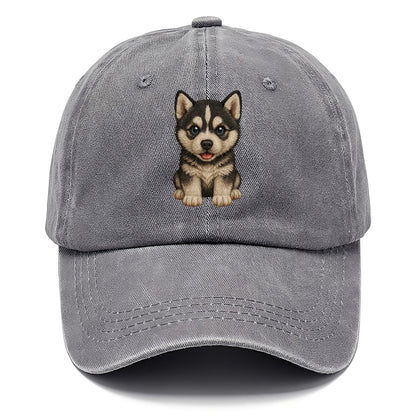 Baby Siberian Husky Puppy - blue or bi-colored eyes, fluffy coat, wolf-like, - Classic Cap - Urban Haze(Grey)