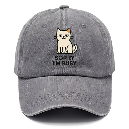 Cat sitting alone looking content - "SORRY I'M BUSY" - not sorry at all - Classic Cap - Urban Haze(Grey)
