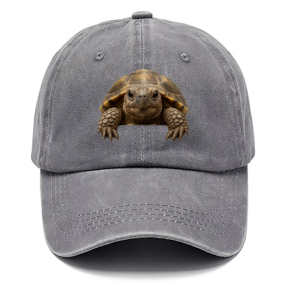 Tortoise  - Classic Cap - Urban Haze(Grey)