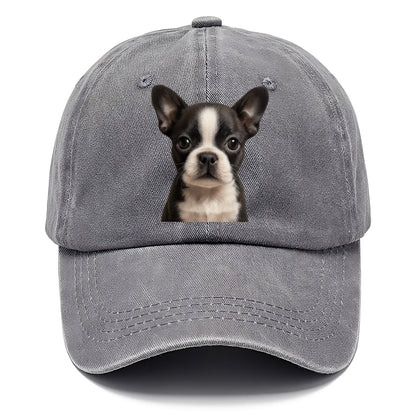Baby Boston Terrier Puppy - tuxedo markings, big round eyes, bat ears, front-facing, - Classic Cap - Urban Haze(Grey)