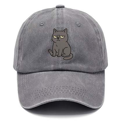 The Cat Judging Silently - Classic Cap - Urban Haze(Grey)