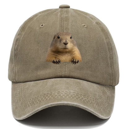 Prairie Dog  - Classic Cap - Warm Sand(Khaki)