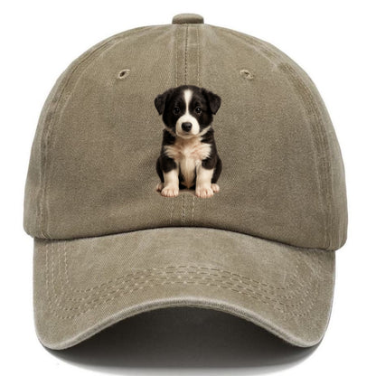 Baby Border Collie Puppy - black and white, intense smart eyes, athletic build, - Classic Cap - Warm Sand(Khaki)