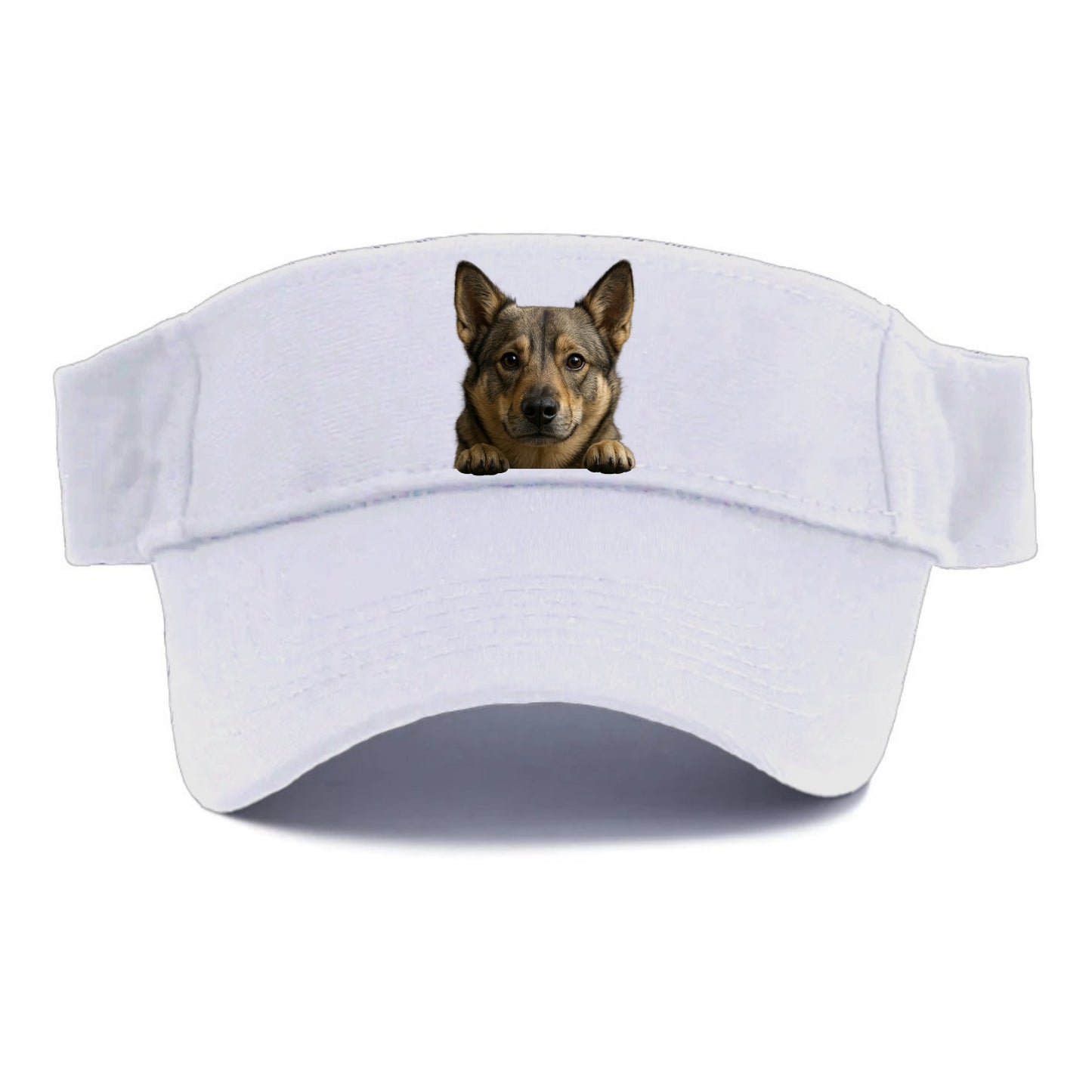 Swedish Vallhund  - Visor - White