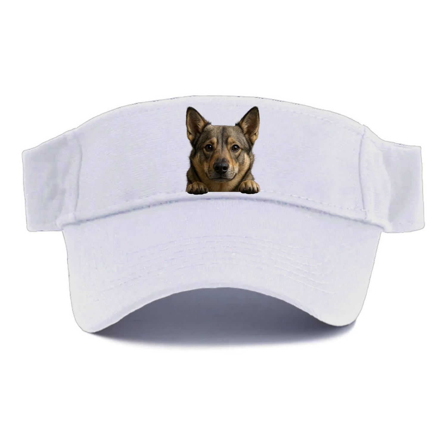 Swedish Vallhund  - Visor - White