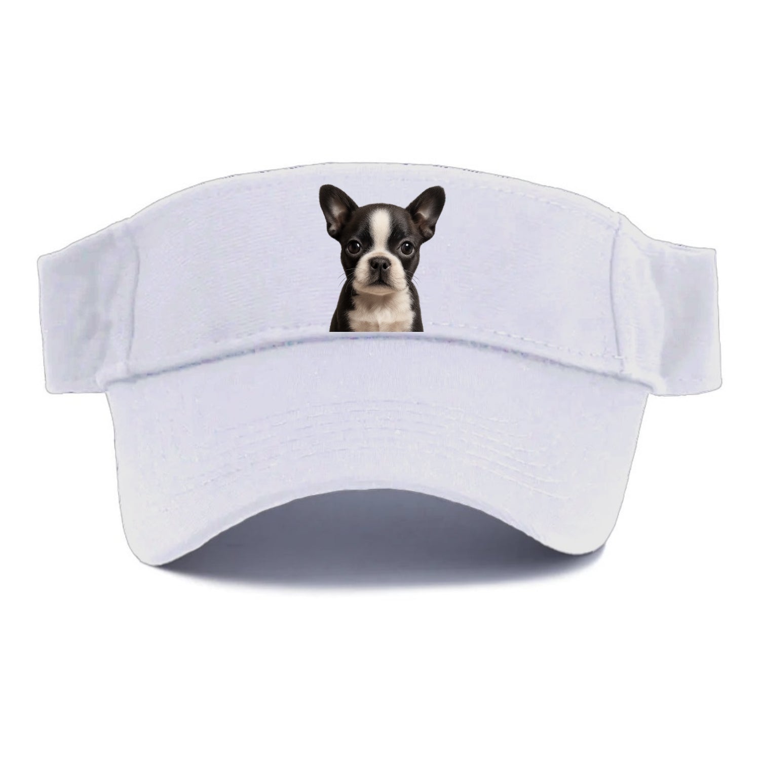 Baby Boston Terrier Puppy - tuxedo markings, big round eyes, bat ears, front-facing, - Visor - White