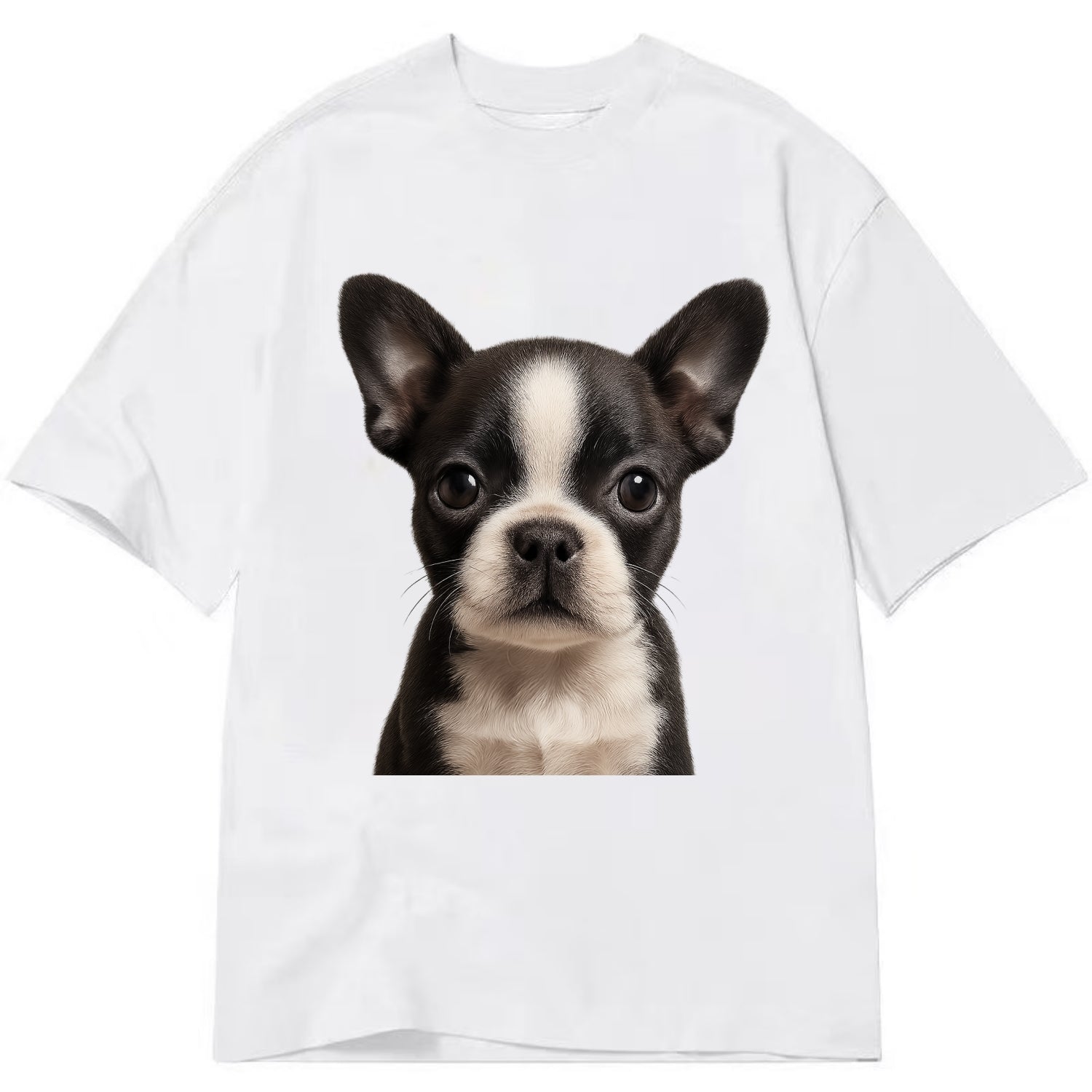 Baby Boston Terrier Puppy - tuxedo markings, big round eyes, bat ears, - Classic T-shirt - White