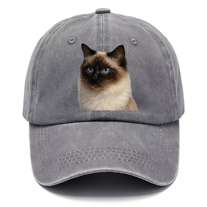 ragdoll-gentle-charm Hat