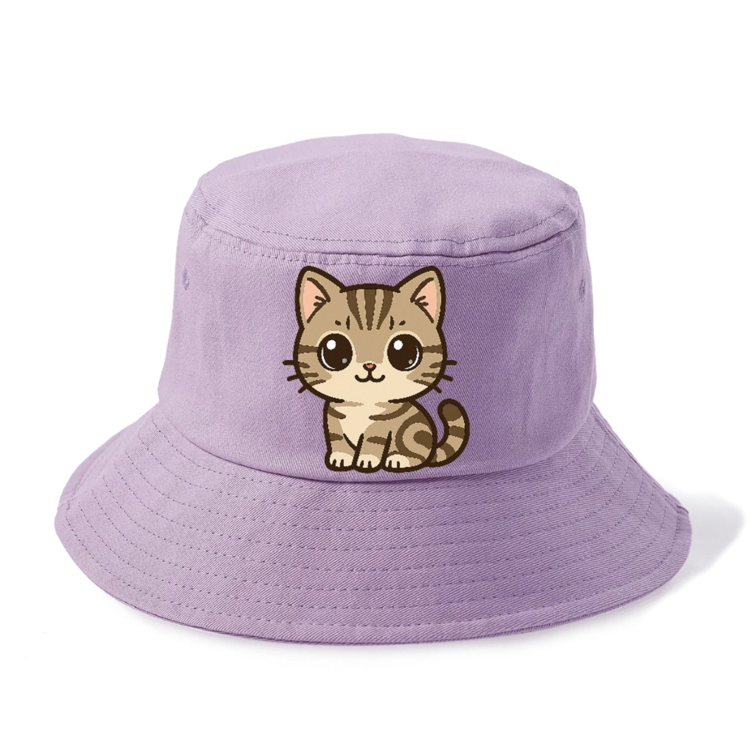 american-shorthair-charming-cat Hat