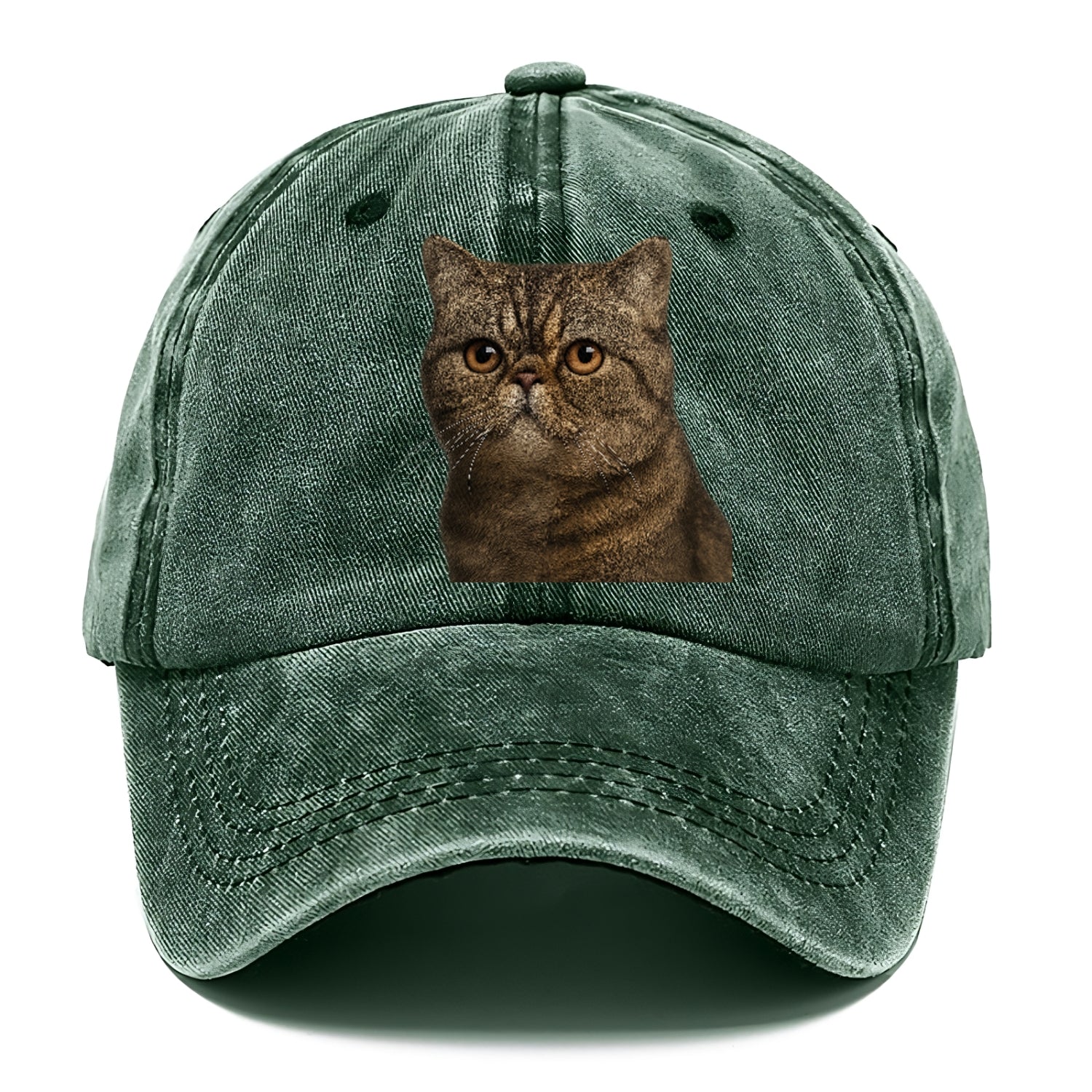 exotic-shorthair-calm-demeanor Hat