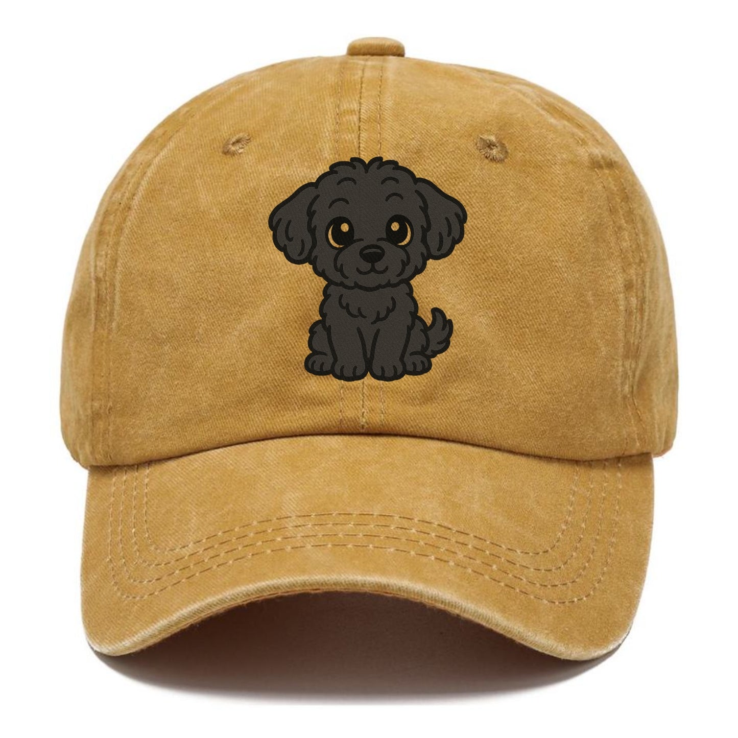 black maltipoo black curly sitting pose portrait design Hat