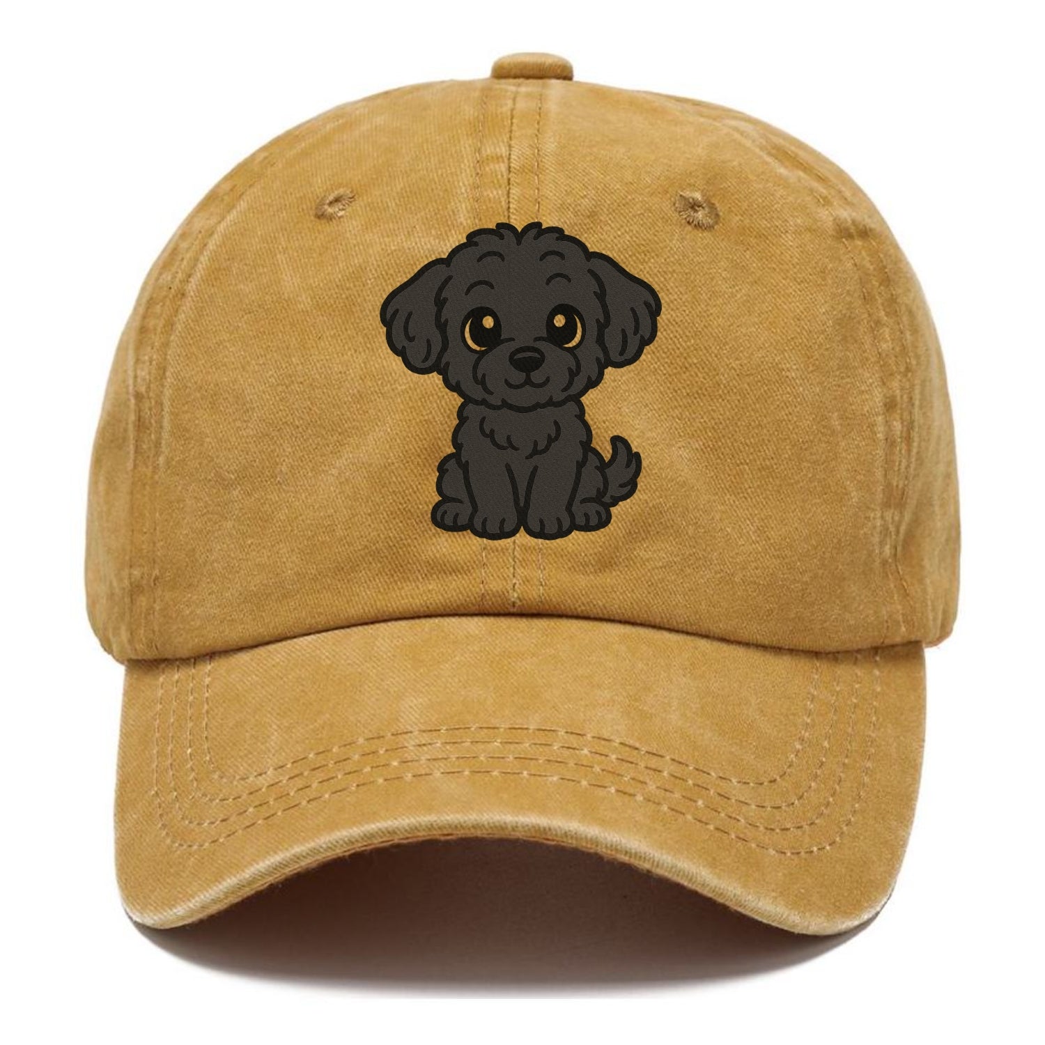 black maltipoo black curly sitting pose portrait design Hat